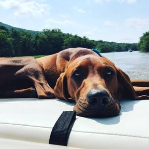 Meet your Posher, Kristina